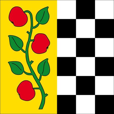Affoltern Am Albis flag